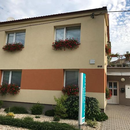 Apartment Corriger Ústí nad Orlicí 外观 照片