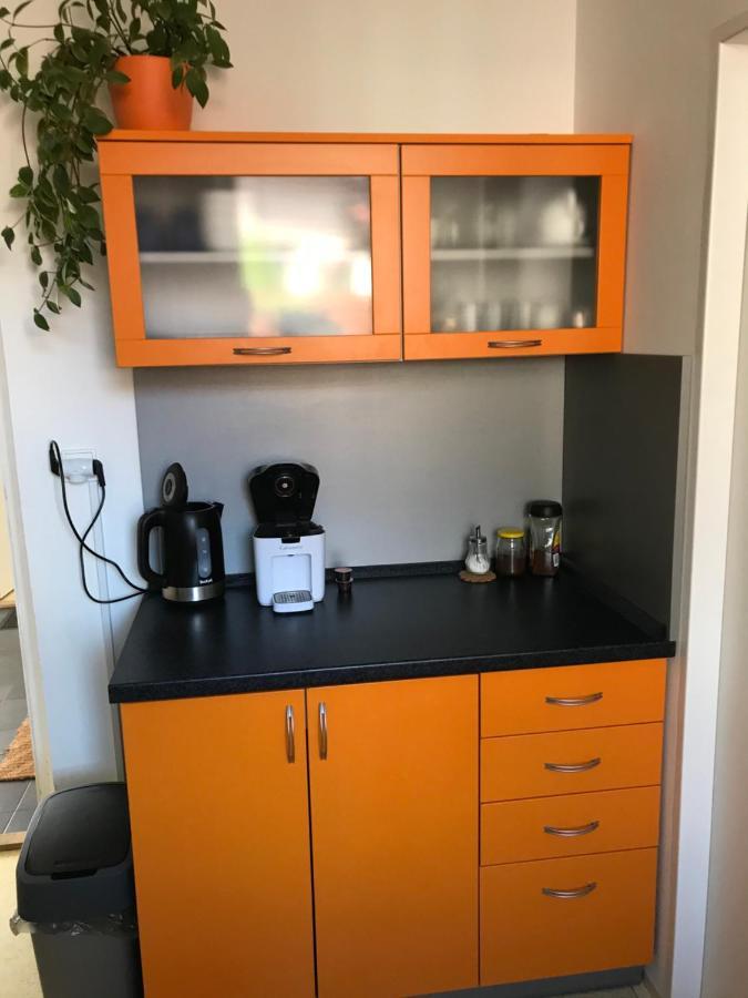 Apartment Corriger Ústí nad Orlicí 外观 照片